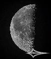 SW BD25012 + Baader Planetarium Mark III; Nikon D7200; ISO 250; 1/320s; WS-201WD; PIPP, AuSt, LR.August 6, 2026 (UTC 01:50 – 01:58)stacked for 10% of ... SW BD25012 + Baader Planetarium Mark III; Nikon D7200; ISO 250; 1/320s; WS-201WD; PIPP, AuSt, LR.August 6, 2026 (UTC 01:50 – 01:58)stacked for 10% of ...